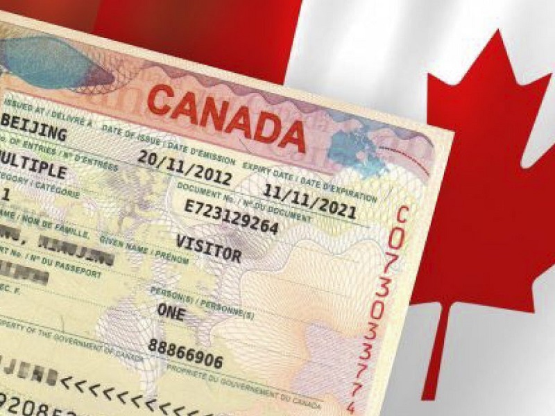 ¿Por qué niegan la visa de turista canadiense?
